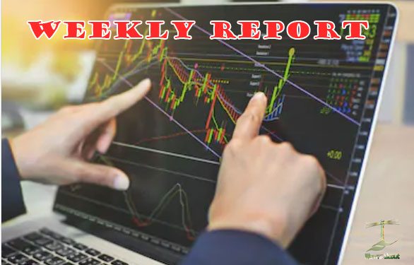 weekly report