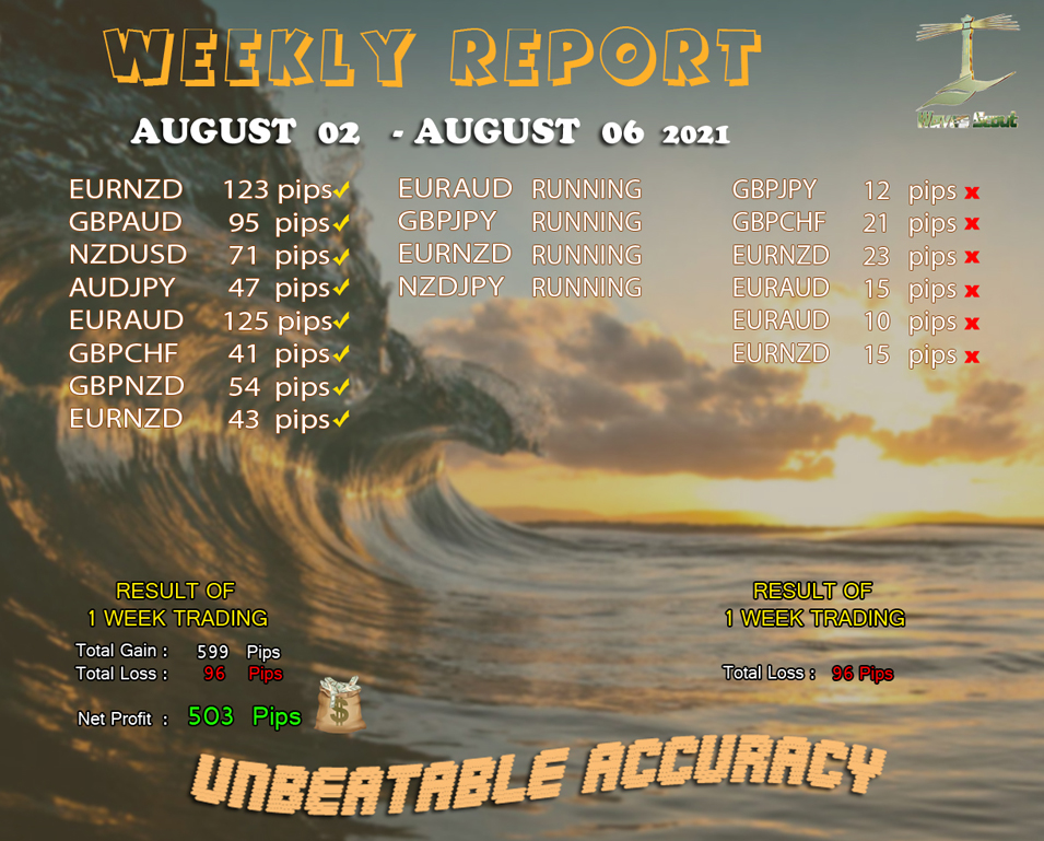 weekly report 