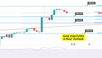 Gold Soars