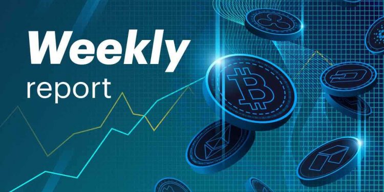 Weekly Cryptocurrency Update