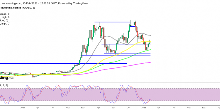 Bullish Signs