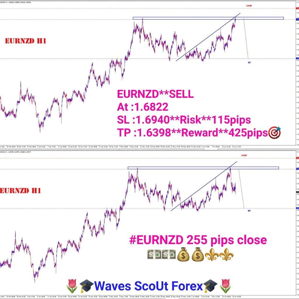 BEFORE+AFTER * EUR/NZD