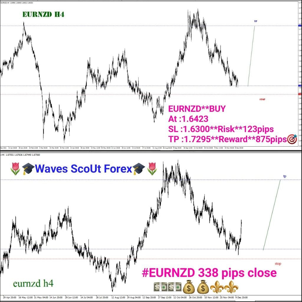 BEFORE + AFTER + EUR/NZD 