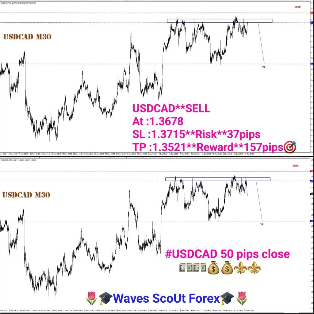 BEFORE + AFTER + USD/CAD 