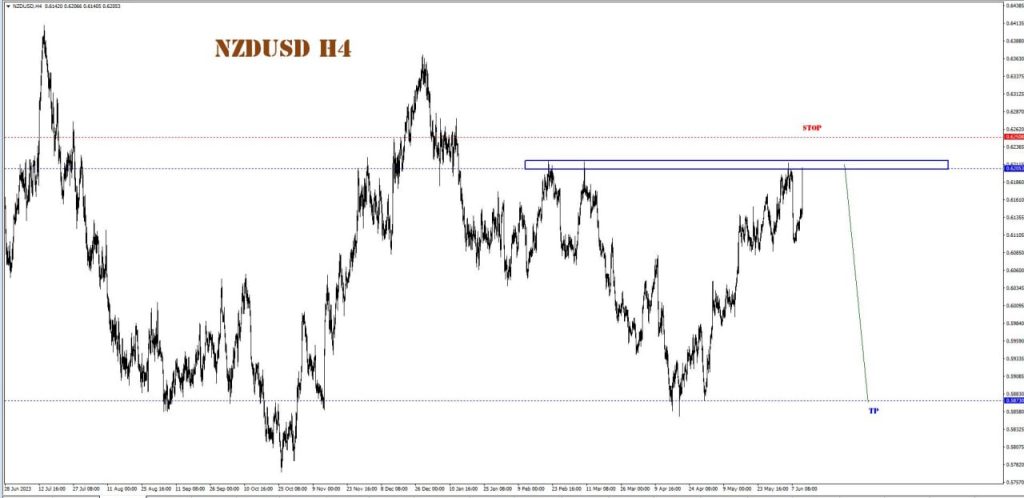 JUNE 13 SIGNAL NZD/USD 