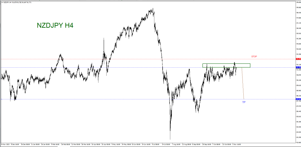 NOVEMBER 11 SIGNAL NZD/JPY 