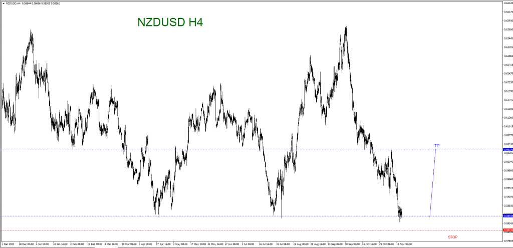 NOVEMBER 19 SIGNAL NZD/USD 