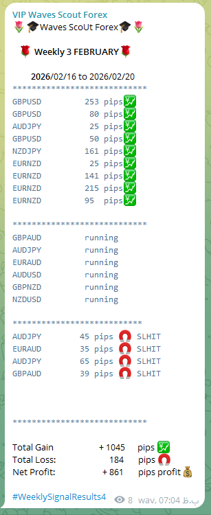 WEEKLY REPORT FEBRUARY 3